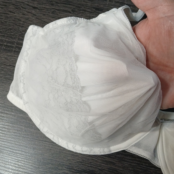 Liz Claiborne Semi Sheer & Lace Underwire Bra 40DD - Picture 4 of 16